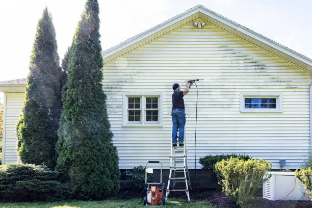 Best Patio and Deck Pressure Washing  in Hettinger, ND